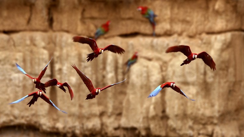 packages-Colibri-Inner-Journeys