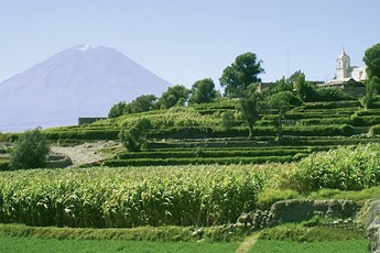 paquetes