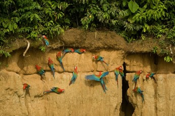 paquetes