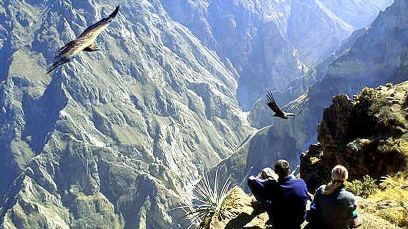 packages-Colibri-Inner-Journeys